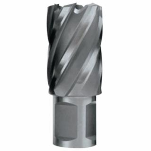 EVOLUTION CYCLONE CUTTER 3/4" X 2"