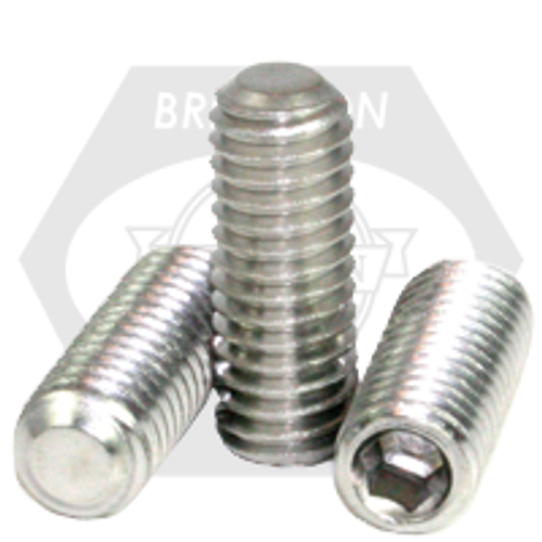 M8-1.25 x 10 mm Socket Set Screws Flat Point, Coarse, 18-8 Stainless Steel A2, Qty 100