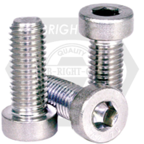 1/4"-20 x 3/8" Low Head Socket Cap Screws 316 Stainless Steel A4, Fully Threaded, Qty 100