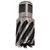 Alfa Tools RCHS84305 3/4 x 1 HSS Rotacutter