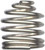 MAG-LITE SPRING