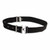PROTO BELT WEB ADJUSTABLE 2-1/2 EDP#50045