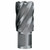 EVOLUTION CYCLONE CUTTER 3/4" X1"