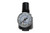 COILHOSE PNEUMATICS 12917 3/8" REGULATOR