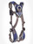 3M DBI-SALA Full Body Harness,XL,420 lb.,Blue 1113010