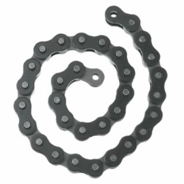 RIDGID E2484 BC210 CHAIN SCR