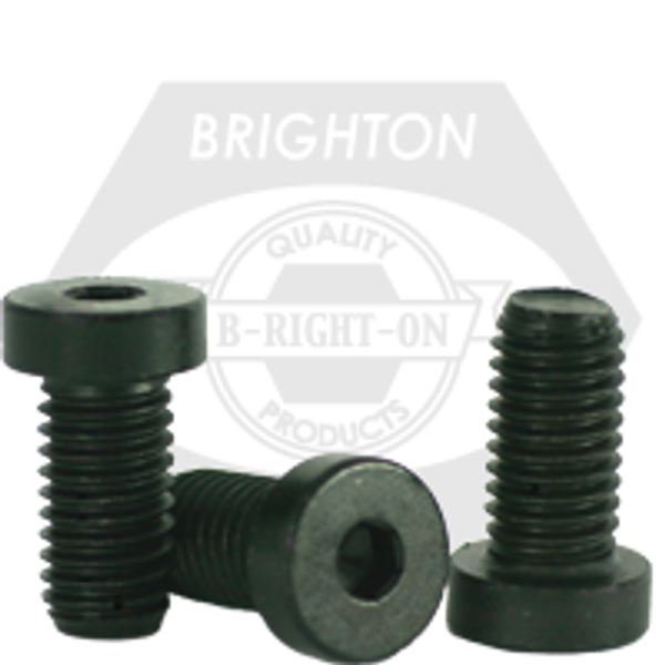 #10-24 x 1/4" Low Head Socket Caps, Coarse, Alloy, Thermal Black Oxide, Qty 100