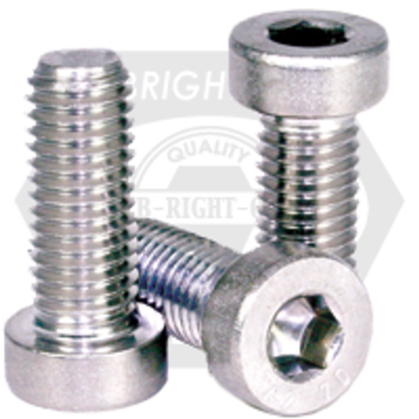 #10-24 x 1" Low Head Socket Cap Screws 316 Stainless Steel A4, Fully Threaded, Qty 100
