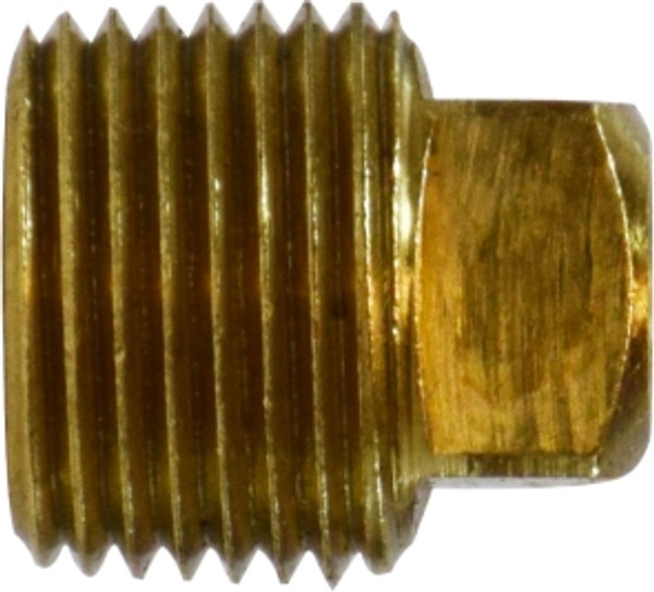 Midland Metal 28085 Barstock Square Head Plug, 1/4 in FNPT, 0.8 in, Brass