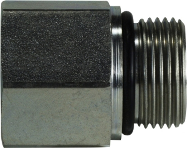 Midland Metal 70421616 Straight Adapter, 1 in FNPT x 1 in Male BSPP, Steel