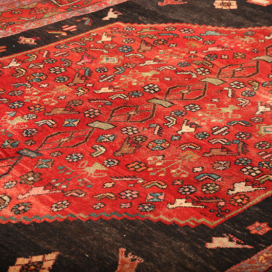 12' 10 x 5' 3 Kolyai Authentic Persian Hand Knotted Area Rug Los