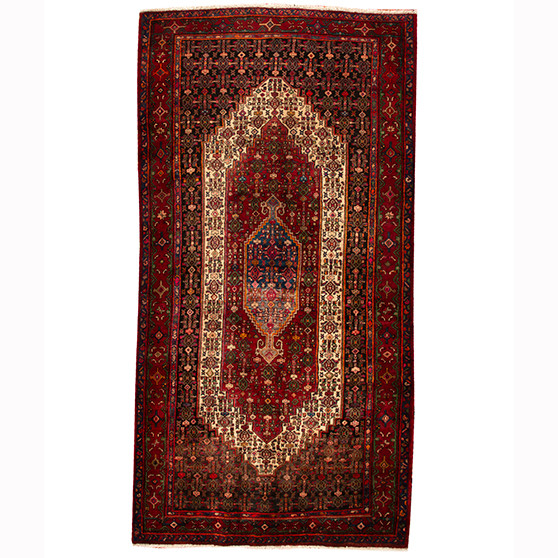 Senneh Persian Rug 10x5 ft - Semi Antique Medallion (Toranj), Herati (Mahi) Dark Red, Cream, Navy Blue Hand Knotted | front view | SKU 110331