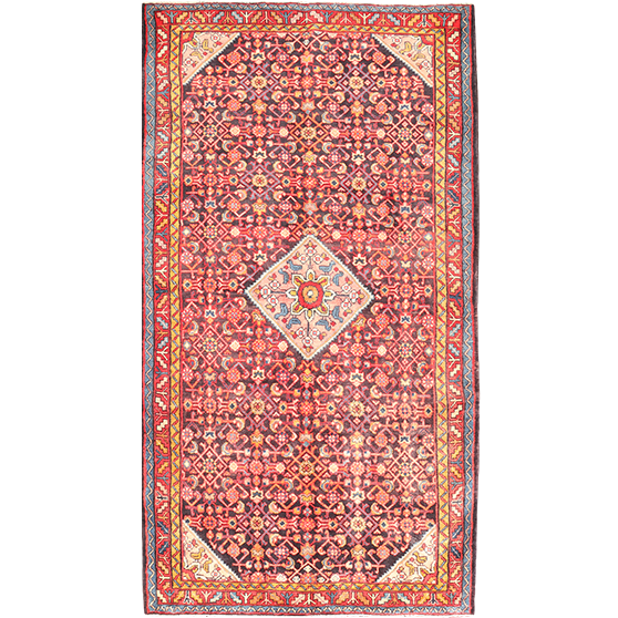 Hamadan Persian Rug 10x5 ft - Semi Antique Afshan Red, Blue Hand Knotted | front view | SKU 111057