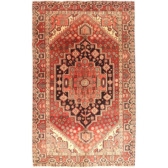 8' 3 x 4' 12 Bakhtiari Authentic Persian Hand Knotted Area Rug | Los Angeles Home of Rugs