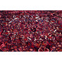 Bakhtiari Persian Rug 10x7 ft - Semi Antique Medallion Toranj, Shah Abbasi Madder Red, Navy Blue, Crimson Hand Knotted | side view | SKU 112916