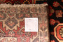 8' 3 x 4' 12 Bakhtiari Authentic Persian Hand Knotted Area Rug | Los Angeles Home of Rugs