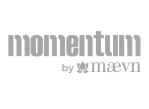 Momentum Logo