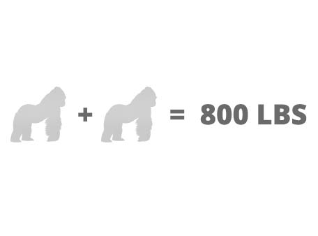 gorillas.jpg