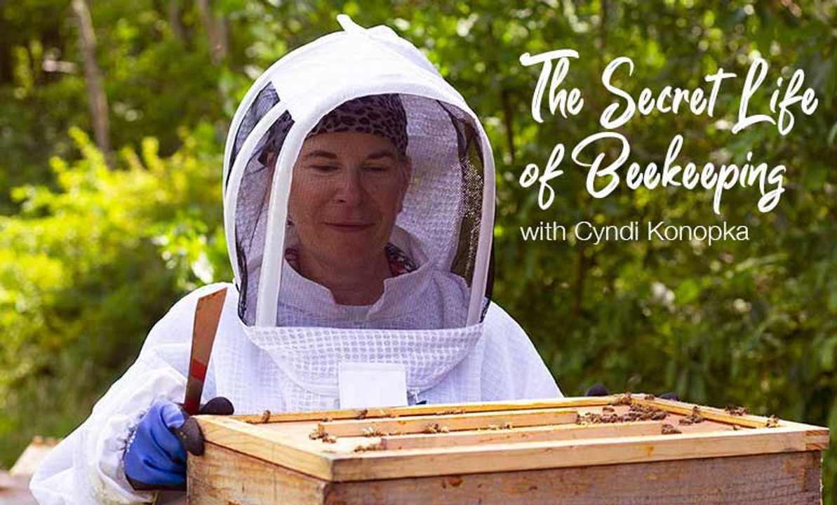 The Secret Life of Beekeeping