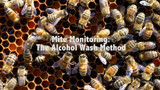 Mite Monitoring: The Alocohol Wash Method