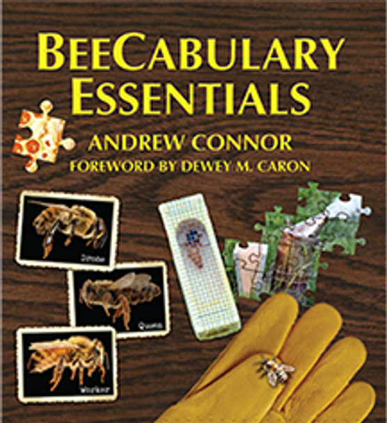 BeeCabulary Essentials