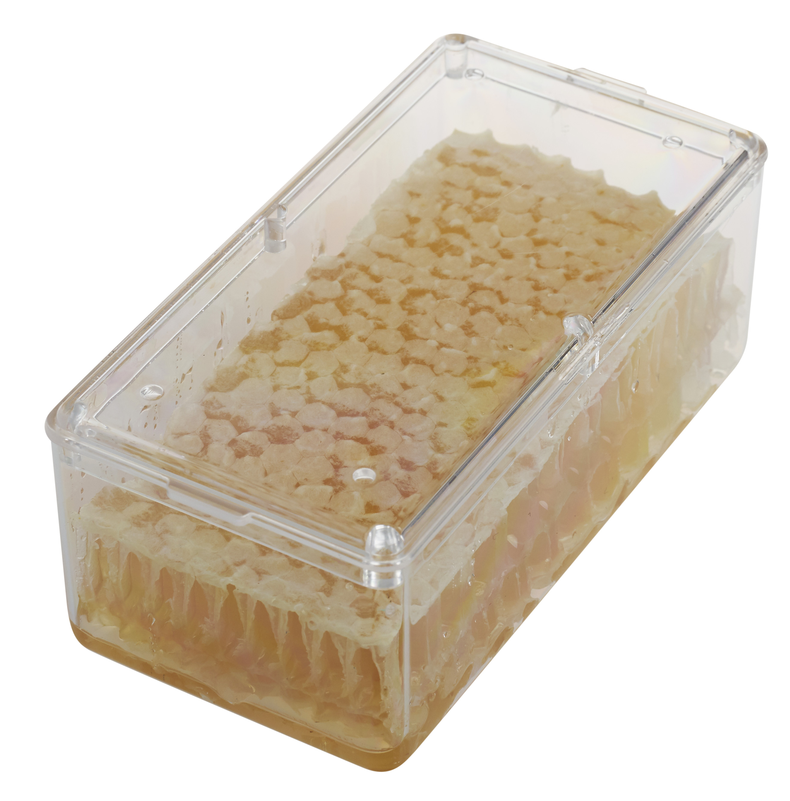 Cut Comb Honey Containers: Perfect For Comb Honey & Displaying Honeycombs