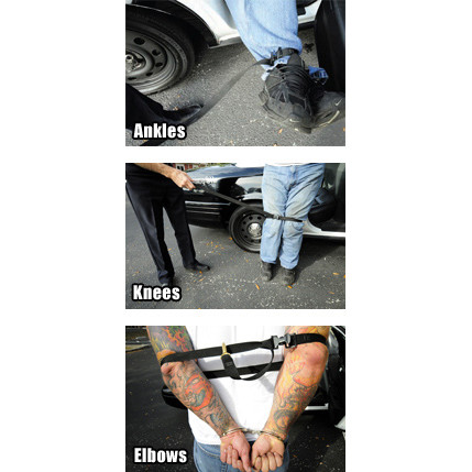 Ripp Hobble w/ Brass Snap - Curtis Blue Line