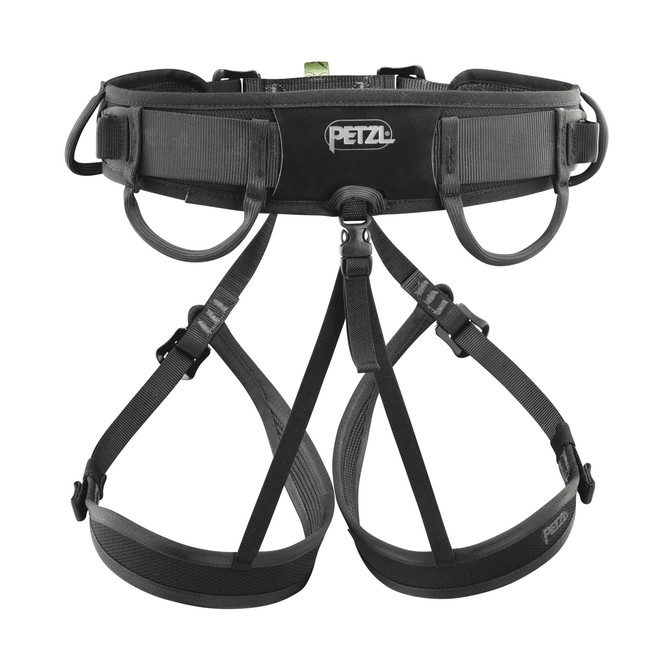 Petzl ASPIC Harness rear view