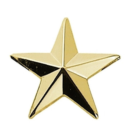 Hero's Pride 1 Star, 2 Posts & Clutch Backs, Pairs, Gold Plating, 1/2 in. High
