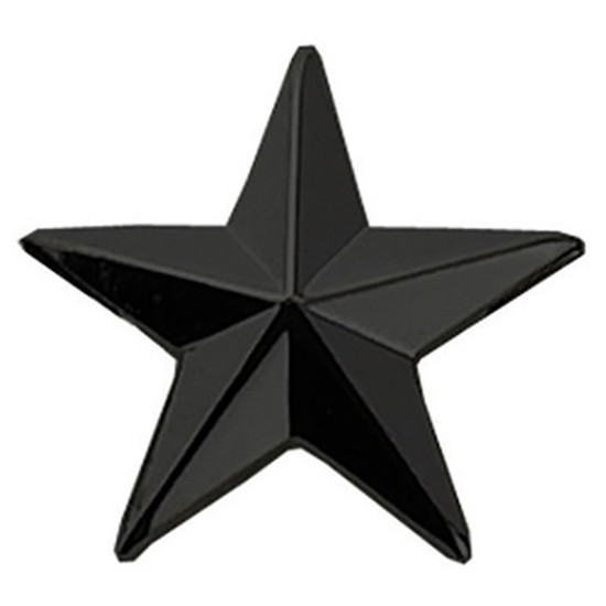 Hero's Pride 1 in. Star Pin, Pair - 1 Post & Clutch Back, Black