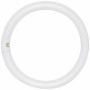 Satco|Satco 22-Watt Circline T9 G10Q Base Fluorescent Tube Light Bulb, Cool White (12-Pack)