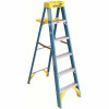 Werner 6 Ft. Fiberglass Step Ladder With 250 Lbs. Load Capacity Type I Duty Rating