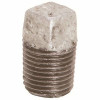 Proplus 1/2 In. Lead Free Galvanized Malleable Plug