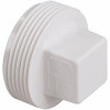 Nibco 2 In. Pvc Dwv Mipt Cleanout Plug