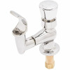 T&S Push Button Ada Drinking Fountain Faucet