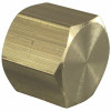 Sioux Chief 3/8 In. Lead-Free Brass Fpt Cap