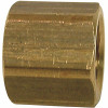 Sioux Chief 3/4 In. Lead-Free Brass Fpt Cap