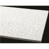 Armstrong Ceilings Fissured 2 Ft. X 4 Ft. Square Lay-In Ceiling Tile (96 Sq. Ft. / Case)