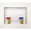 Ips Corporation Washing Machine Outlet Box With 1/2 In. Cpvc