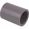 Carlon 2 In. Pvc Standard Coupling