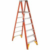 Werner 6 Ft. Reach Fiberglass Platform Step Ladder 300 Lbs. Load Capacity Type Ia Duty Rating