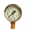 Mec Dial Dry Pressure Gauge 0-30 Psi, Brass Bottom Mount 1/4 In. Mnpt, 2 In. Steel Case