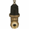 Wilkins 3/4 in. NR3XL Pressure Reducing Valve with Double Union FNPT CPVC Tailpiece Connection Lead Free Wilkins 3/4 in. NR3XL Pressure Reducing Valve with Double Union FNPT CPVC Tailpiece Connection Lead Free