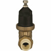 Zurn 3/4 In. Pressure Reducing Valve - 3570723