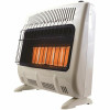 Heatstar 30,000 Btu Vent-Free Radiant Natural Gas Heater With Thermostat And Blower