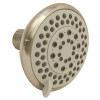 Premier 5-Spray Patterns 4 In. Single Wall Mount Fixed Shower Head In Brushed Nickel