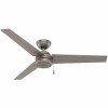 Hunter Cassius 52 In. Indoor/Outdoor Matte Silver Ceiling Fan