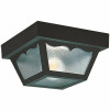 Sea Gull Lighting 2-Light Black Outdoor Ceiling Fixture