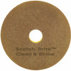 3M 13 In. Scotch-Brite Clean And Shine Pad, (5-Case)
