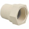 Everbilt 1/2 In. Cpvc-Cts Slip X Fipt Adapter Fitting